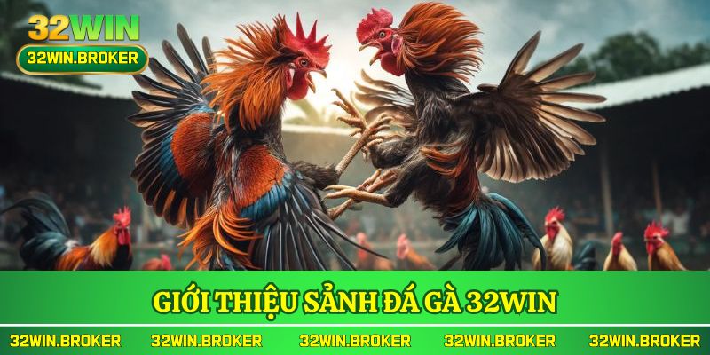 Giới thiệu sảnh đá gà 32WIN